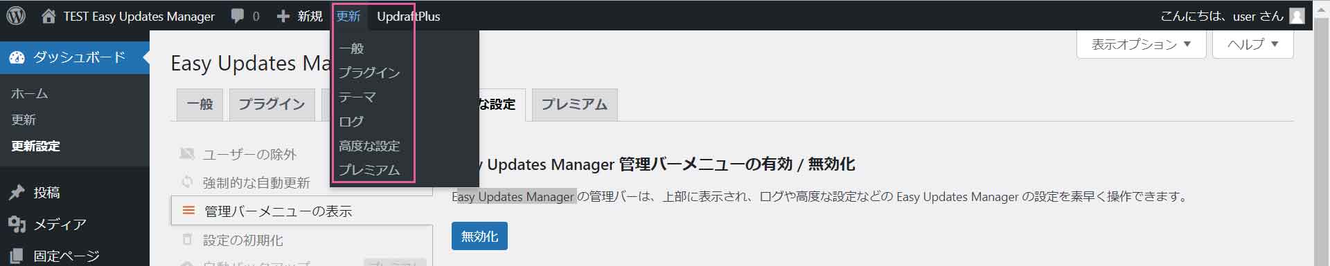 Easy Updates Manager 高度な設定 強制的な自動更新